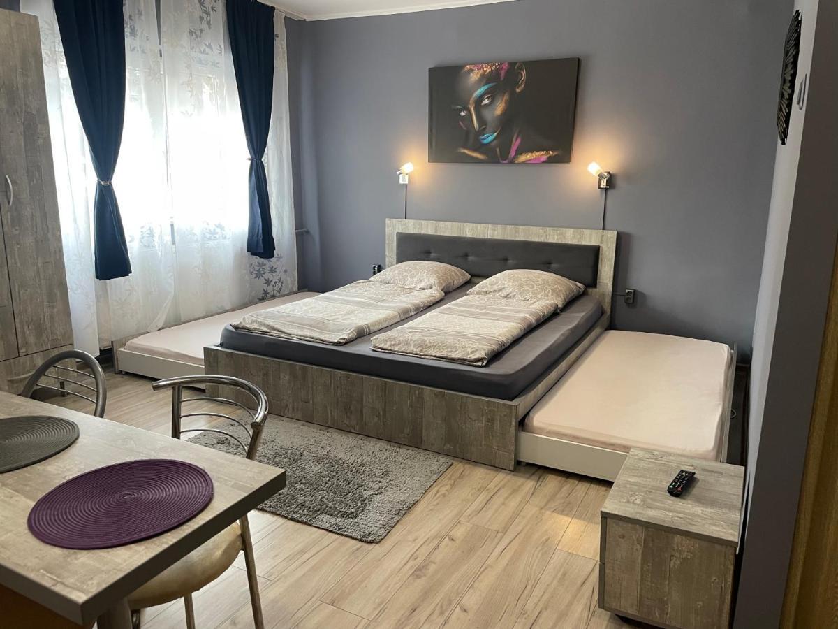 Apartamento Garsoniera Paco Băile Felix Exterior foto